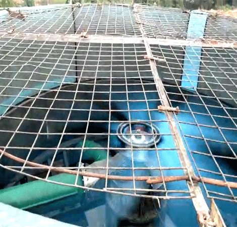 Pentaflo Hydro Pvt Ltd, Hydro Turbine